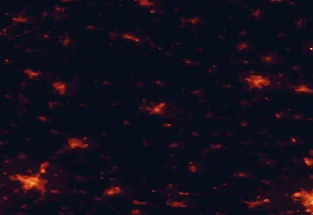 Satellite night-light map of the 50 km around Orosháza, with Szeged, Békéscsaba and Hódmezővásárhely marked