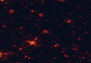 Satellite night-light map of the 50 km around Hódmezővásárhely, with Szeged, Orosháza and Szentes marked