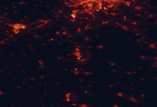 Satellite night-light map of the 50 km around Dunaújváros, with Székesfehérvár, Szigetszentmiklós and Paks marked