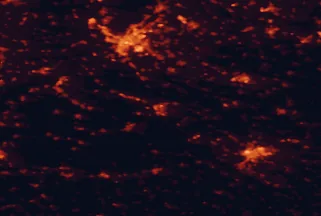 Satellite night-light map of the 50 km around Mosonmagyaróvár, with Bratislava, Győr and Petržalka marked