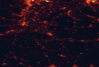 Satellite night-light map of the 50 km around Sopron, with Wiener Neustadt, Eisenzicken and Baden marked