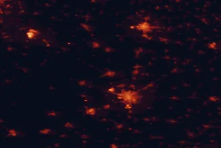 Satellite night-light map of the 50 km around Hajdúböszörmény, with Debrecen, Nyíregyháza and Balmazújváros marked