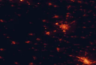 Satellite night-light map of the 50 km around Hajdúszoboszló, with Debrecen, Oradea and Hajdúböszörmény marked