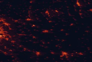 Satellite night-light map of the 50 km around Jászberény, with Szolnok, Cegléd and Eger marked