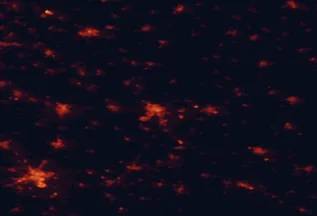 Satellite night-light map of the 50 km around Szolnok, with Kecskemét, Cegléd and Törökszentmiklós marked