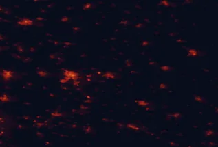 Satellite night-light map of the 50 km around Törökszentmiklós, with Szolnok, Cegléd and Mezőtúr marked