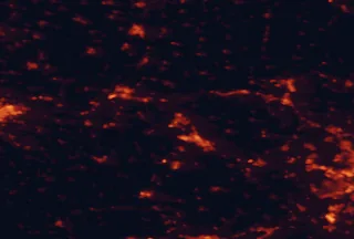 Satellite night-light map of the 50 km around Tata, with Tatabánya, Komárno and Érd marked