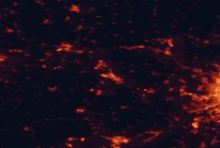 Satellite night-light map of the 50 km around Tatabánya, with Székesfehérvár, Tata and Érd marked
