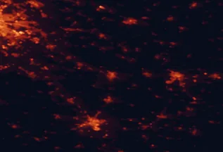 Satellite night-light map of the 50 km around Cegléd, with Kecskemét, Szolnok and Nagykőrös marked