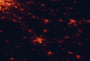 Satellite night-light map of the 50 km around Nagykőrös, with Kecskemét, Szolnok and Cegléd marked