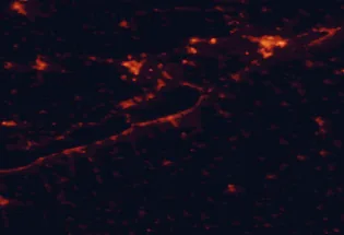 Satellite night-light map of the 50 km around Siófok, with Székesfehérvár, Veszprém and Ajka marked
