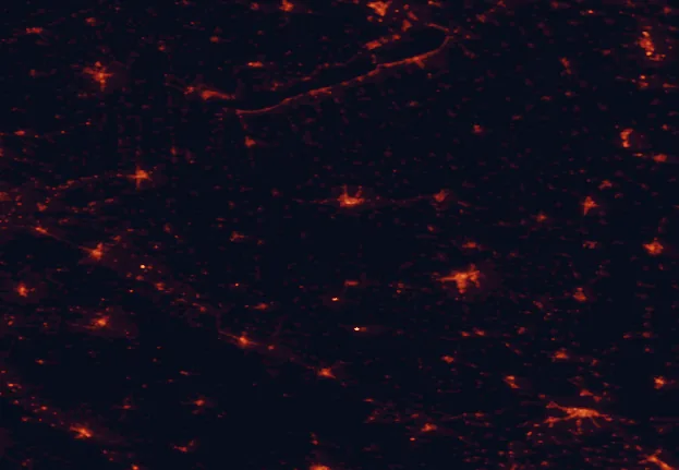 Satellite night-light map of the 100 km around Zselic National Landscape Protection Area, with Pécs, Kaposvár and Osijek marked