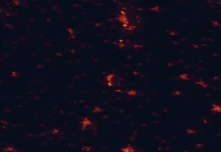 Satellite night-light map of the 50 km around Paks, with Dunaújváros, Szekszárd and Kalocsa marked