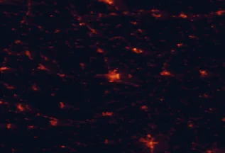 Satellite night-light map of the 50 km around Szombathely, with Eisenzicken, Zalaegerszeg and Sárvár marked