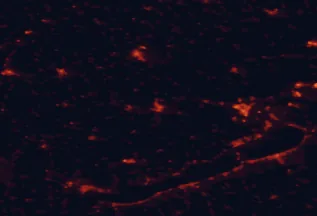 Satellite night-light map of the 50 km around Ajka, with Veszprém, Pápa and Tapolca marked