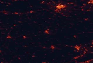 Satellite night-light map of the 50 km around Pápa, with Győr, Veszprém and Ajka marked