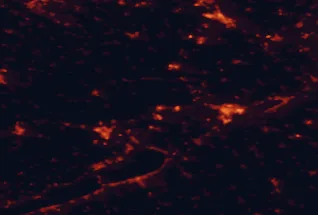 Satellite night-light map of the 50 km around Várpalota, with Székesfehérvár, Veszprém and Tatabánya marked