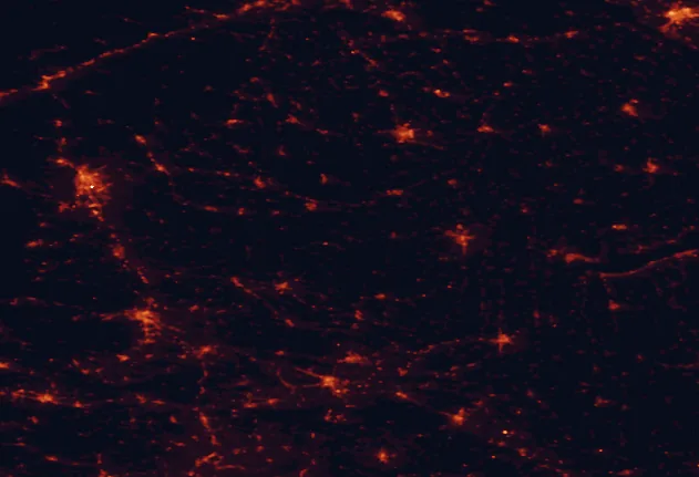Satellite night-light map of the 100 km around Őrség National Park, with Graz, Zalaegerszeg and Szombathely marked