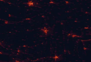 Satellite night-light map of the 50 km around Zalaegerszeg, with Szombathely, Nagykanizsa and Keszthely marked