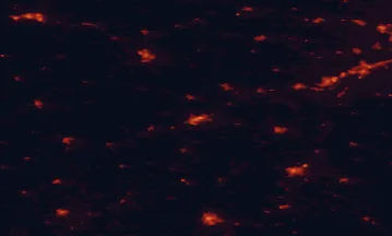 Satellite night-light map of the 50 km around Portlaoise, with Carlow, Droichead Nua and Kilkenny marked