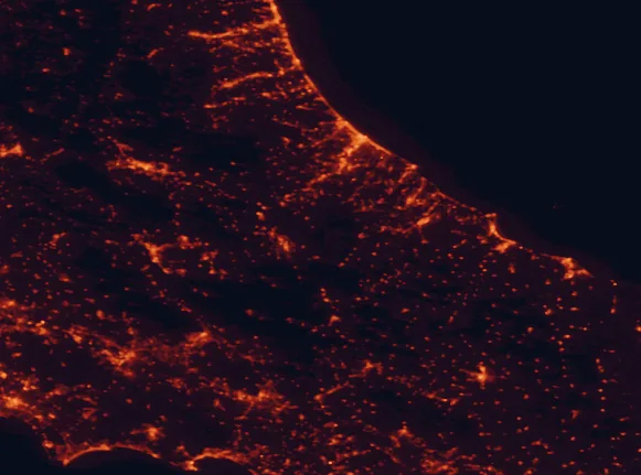 Satellite night-light map of the 100 km around Maiella National Park, with Pescara, Chieti and Montesilvano marked