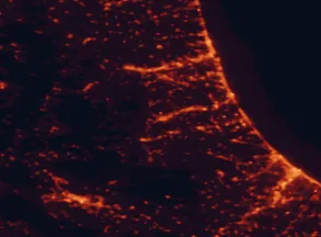 Satellite night-light map of the 50 km around Teramo, with Pescara, Ascoli Piceno and Montesilvano marked