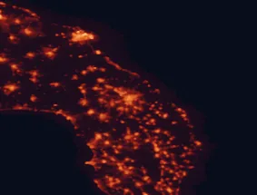 Satellite night-light map of the 50 km around Lecce, with Brindisi, Copertino and Nardò marked
