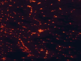 Satellite night-light map of the 50 km around Potenza, with Rionero in Vulture, Sala Consilina and Avigliano marked