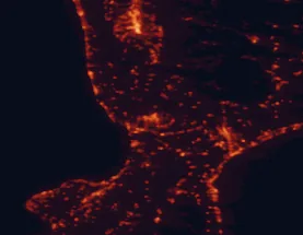 Satellite night-light map of the 50 km around Lamezia Terme, with Catanzaro, Cosenza and Quattromiglia marked