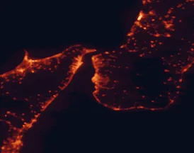 Satellite night-light map of the 50 km around Reggio Calabria, with Messina, Barcellona Pozzo di Gotto and Milazzo marked