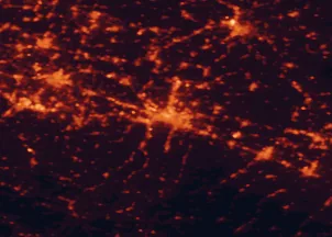 Satellite night-light map of the 50 km around Bologna, with Modena, Ferrara and Casalecchio di Reno marked