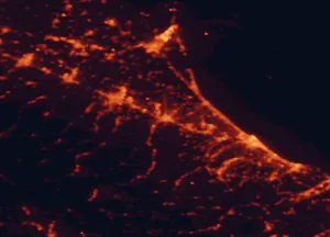 Satellite night-light map of the 50 km around Cesena, with Forlì, Rimini and Ravenna marked