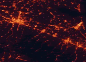 Satellite night-light map of the 50 km around Imola, with Bologna, Forlì and Cesena marked