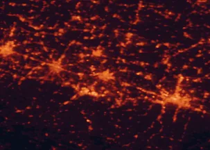 Satellite night-light map of the 50 km around Modena, with Bologna, Reggio nell'Emilia and Parma marked