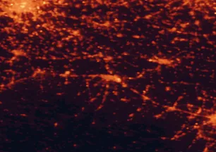 Satellite night-light map of the 50 km around Piacenza, with Milan, Cremona and Pavia marked