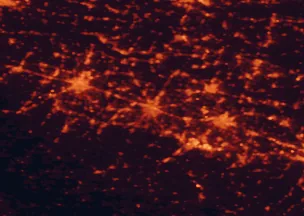 Satellite night-light map of the 50 km around Reggio Emilia, with Modena, Parma and Carpi marked