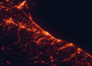 Satellite night-light map of the 50 km around Rimini, with Cesena, Forlì and Pesaro marked