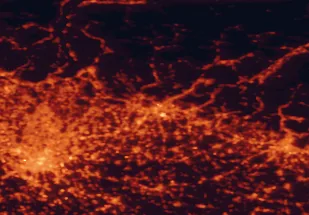 Satellite night-light map of the 50 km around Bergamo, with Milan, Brescia and Monza marked
