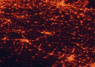Satellite night-light map of the 50 km around Cremona, with Parma, Brescia and Piacenza marked