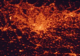 Satellite night-light map of the 50 km around Milan, with Monza, Sesto San Giovanni and Cinisello Balsamo marked