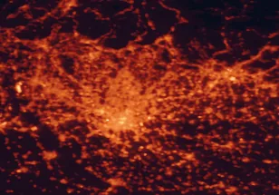 Satellite night-light map of the 50 km around Monza, with Milan, Cinisello Balsamo and Sesto San Giovanni marked