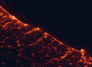 Satellite night-light map of the 50 km around Fano, with Pesaro, Rimini and Ancona marked