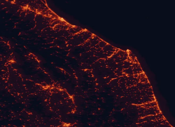 Satellite night-light map of the 100 km around Gola della Rossa and Frasassi Regional Park, with Perugia, Rimini and Ancona marked
