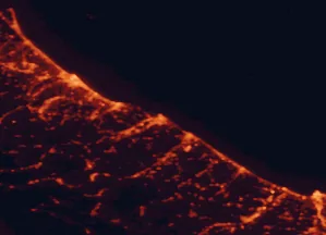 Satellite night-light map of the 50 km around Pesaro, with Rimini, Fano and Riccione marked