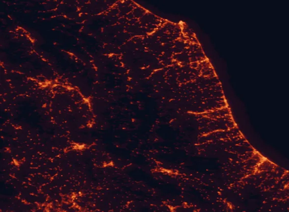 Satellite night-light map of the 100 km around Sibillini Mountains National Park, with Terni, Perugia and Pescara marked