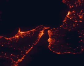 Satellite night-light map of the 50 km around Messina, with Reggio Calabria, Barcellona Pozzo di Gotto and Milazzo marked
