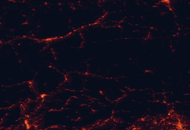 Satellite night-light map of the 100 km around Rieserferner-Ahrn Nature Park, with Innsbruck, Bolzano and Trento marked