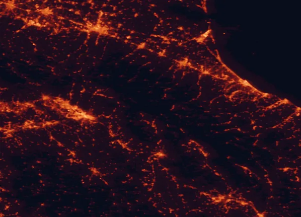 Satellite night-light map of the 100 km around Casentinesi Forests National Park, with Florence, Bologna and Prato marked