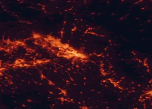 Satellite night-light map of the 50 km around Florence, with Prato, Scandicci and Sesto Fiorentino marked