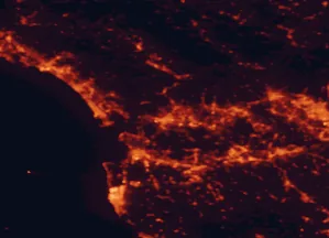 Satellite night-light map of the 50 km around Lucca, with Pisa, Livorno and Capannori marked